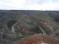 gooseneck (12).JPG